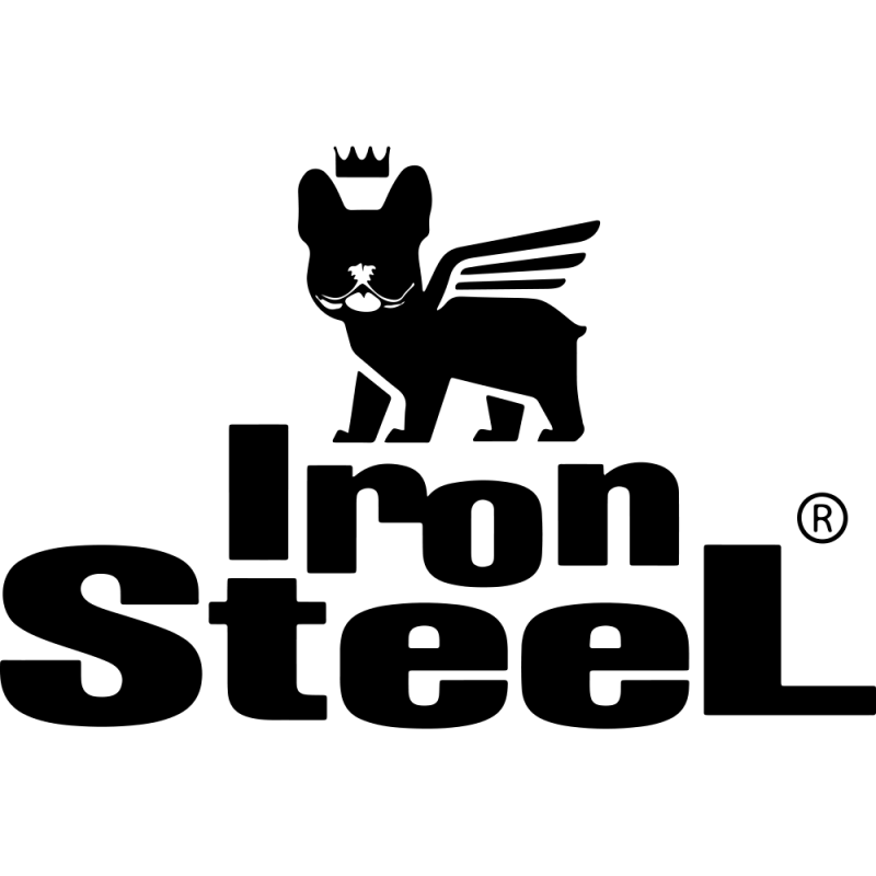 Iron Steel Tumbler